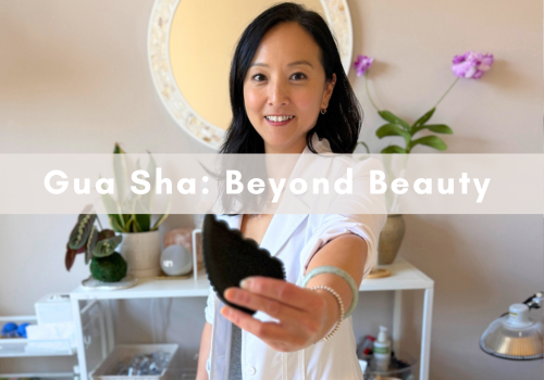 , Events & Workshops