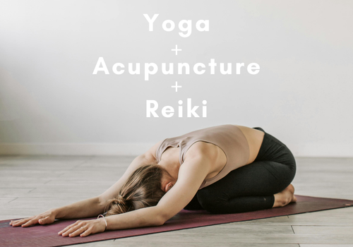 , Events & Workshops