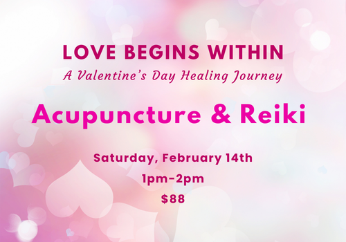 , Events & Workshops