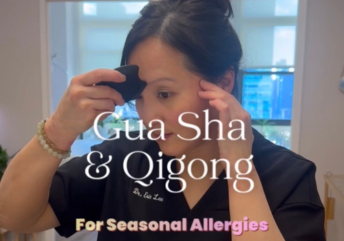 , Events & Workshops